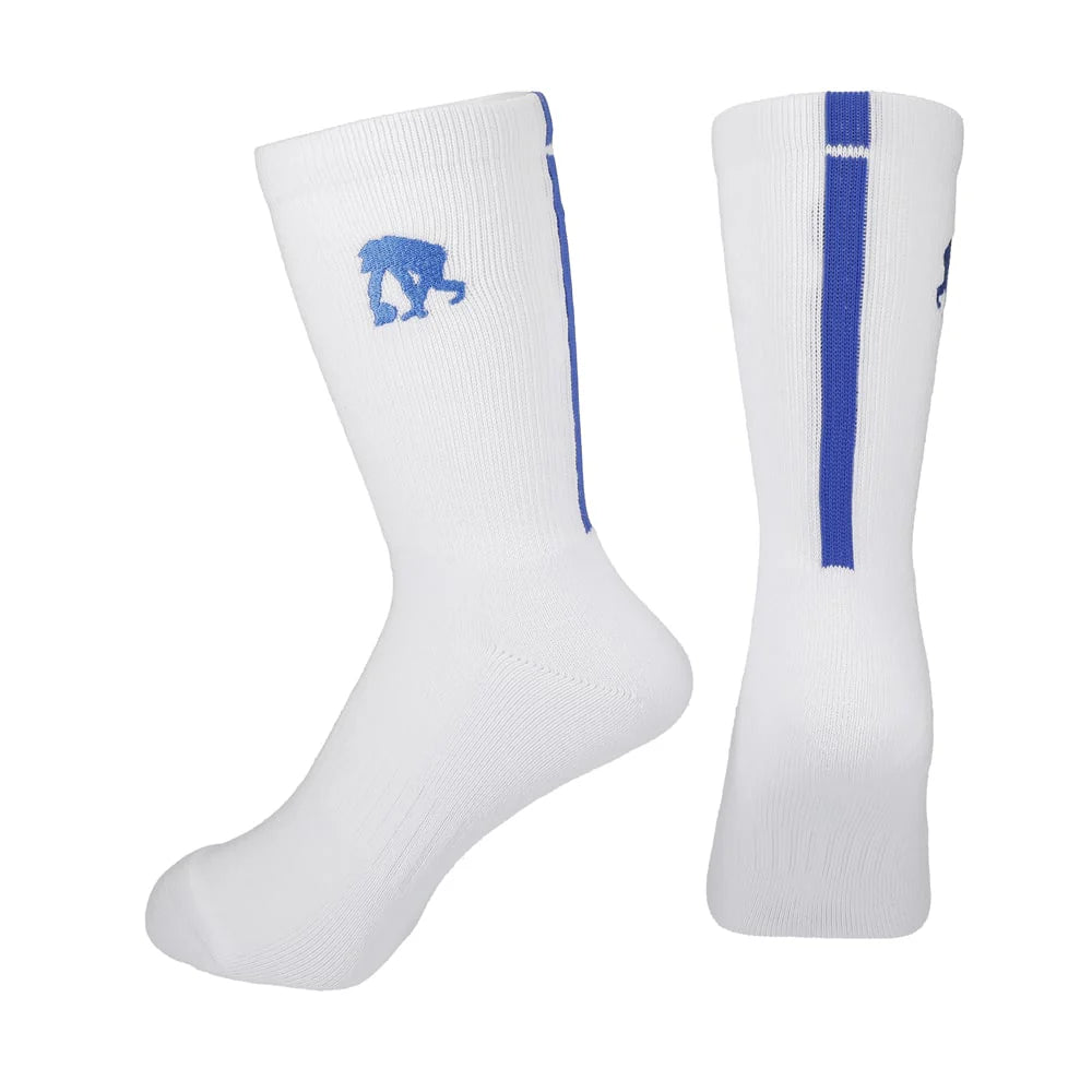 [EGOZARU]ラインソックス